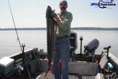 Sturgeon