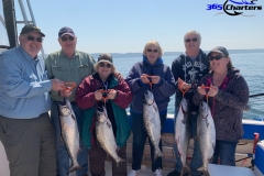 Puget Sound Summer Chinook