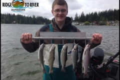Trout