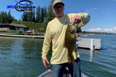 bass227