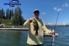 bass229