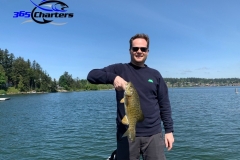 bass241