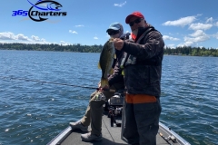 bass26