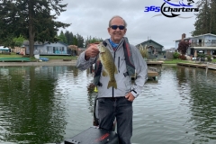 bass29