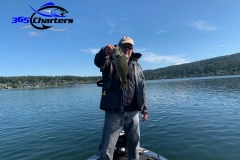 bass311
