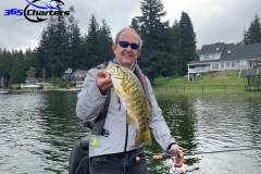 bass32