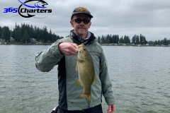 bass320