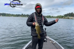 bass42