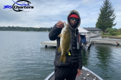 bass50