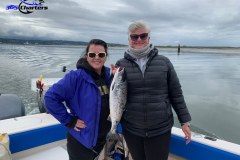 Puget Sound Summer Coho Salmon