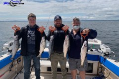 Puget Sound Summer Coho Salmon